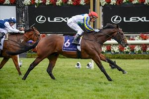 GUINEAS THE AIM FOR PROMISING COLT BANQUO